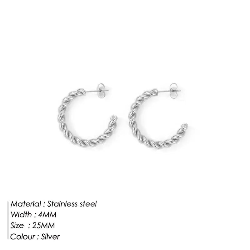 Vintage Spiral Twist Hoop Earrings for Women Stainless Steel Punk Party Trendy Gold Color Silver Wholesale Dropshipping